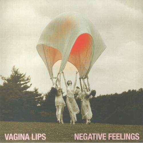 Vagina lips negative - vagina,