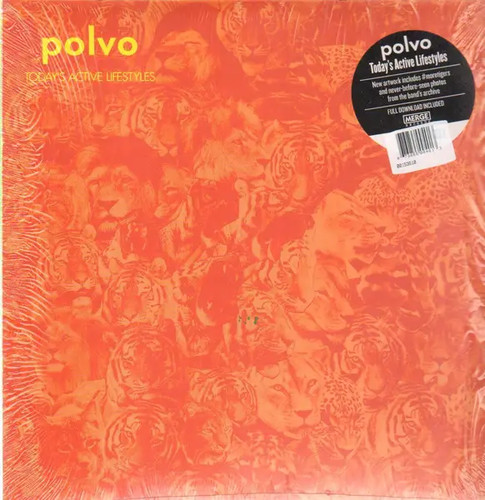 Mp3 polvo todays - polvo, active