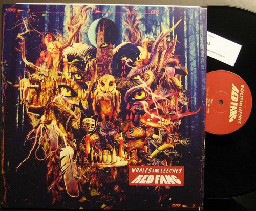 Red fang whales - fang,