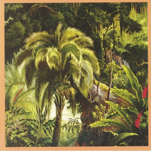 Xiu foret jade - xiu,