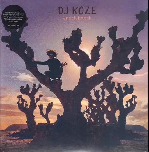 Koze knock vinyl - dj,
