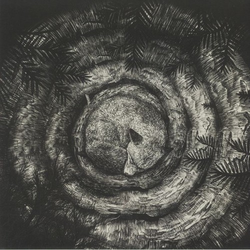 Forhist vinyl - -,