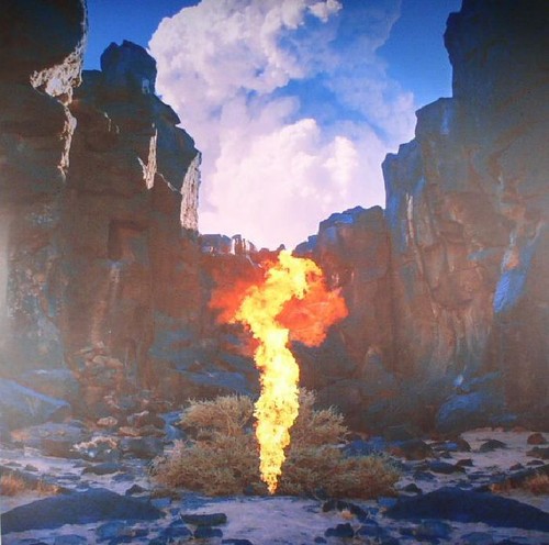 Bonobo migration vinyl - bonobo,